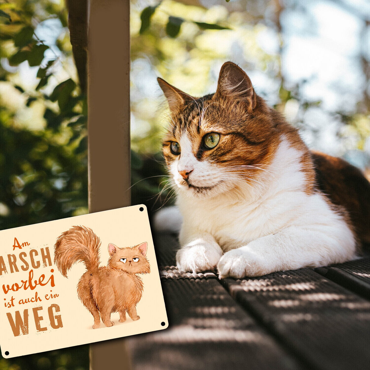 Katze Metallschild in 15x20 cm mit Spruch Am Arsch vorbei ist auch ein Weg