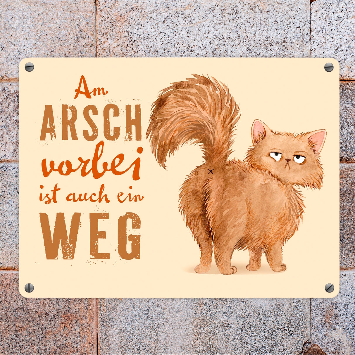 Katze Metallschild in 15x20 cm mit Spruch Am Arsch vorbei ist auch ein Weg