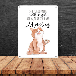 Katze Metallschild in 15x20 cm mit Spruch Montags fühle ich mich schlecht