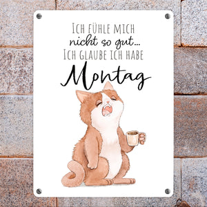Katze Metallschild in 15x20 cm mit Spruch Montags fühle ich mich schlecht