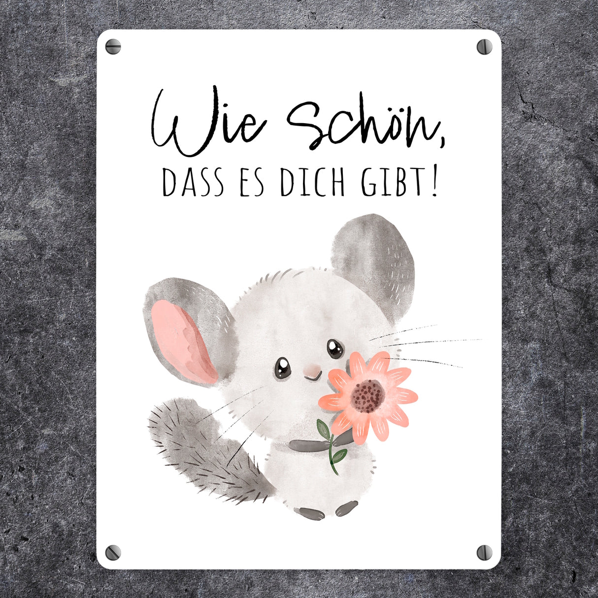 Chinchilla Metallschild in 15x20 cm mit Spruch Wie schön dass es dich gibt