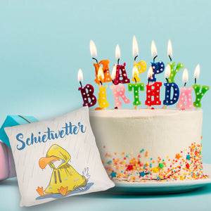Möwe Kissen mit Spruch Schietwetter