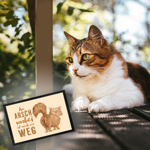 Katze Fußmatte in 35x50 cm mit Spruch Am Arsch vorbei ist auch ein Weg