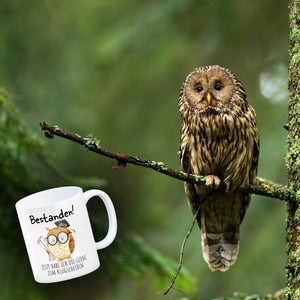 Bestandene Prüfung Eule Kaffeebecher mit Spruch Lizenz zum Klugscheißen