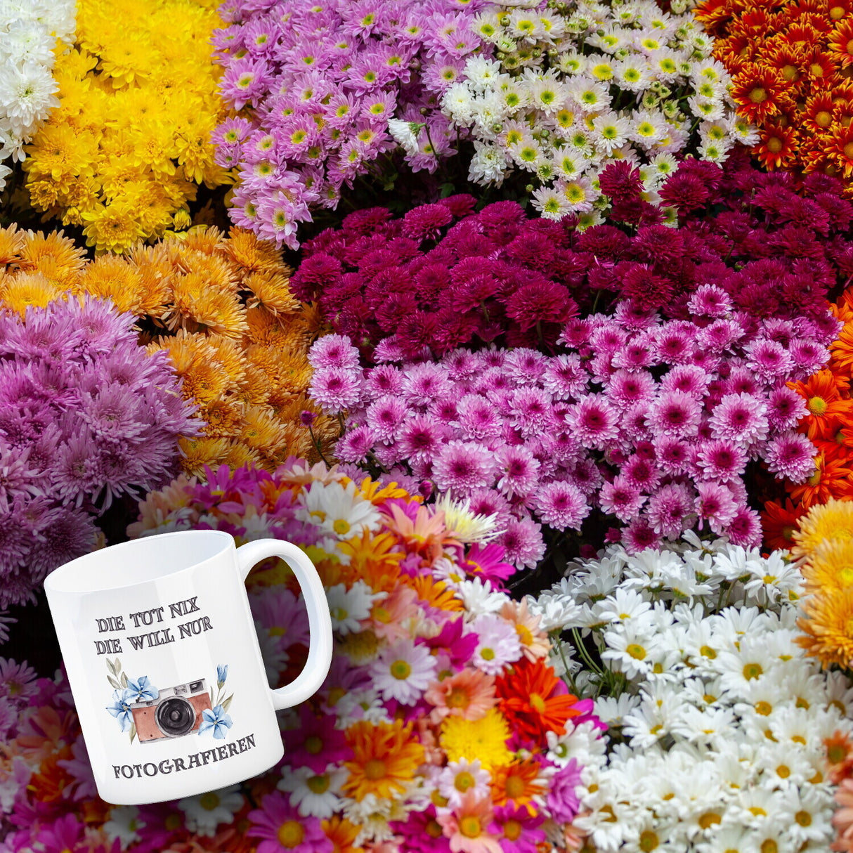 Fotografieren Kaffeebecher mit Spruch Die tut nix die will nur Fotografieren