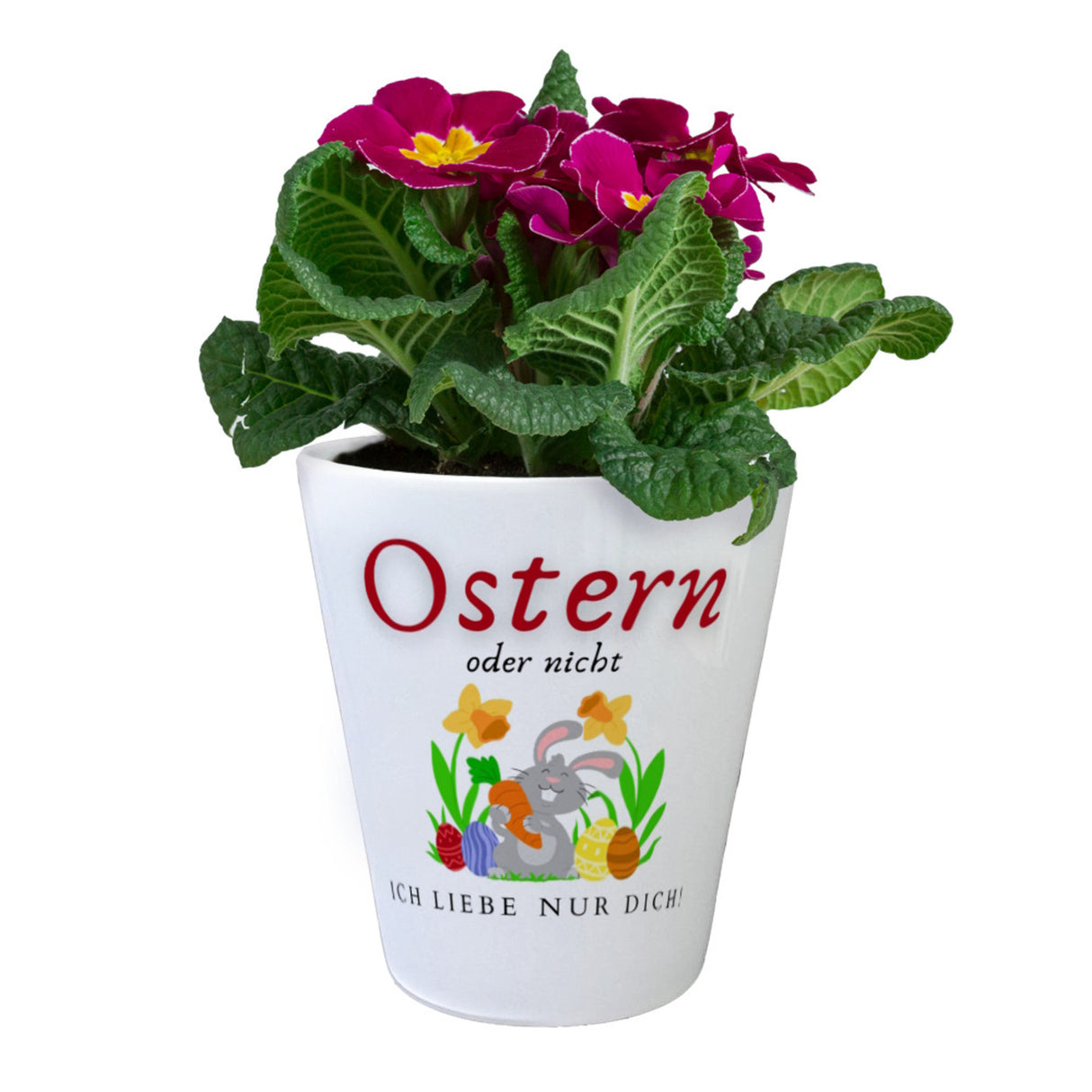 Ostern Blumentopf mit Spruch Ostern oder nicht ich Liebe nur dich