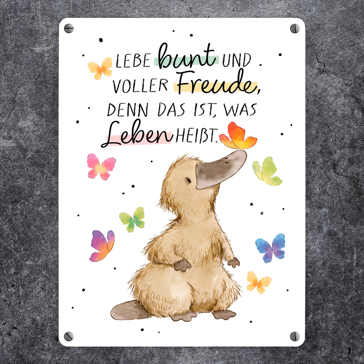 Schnabeltier Metallschild in 15x20 cm mit Spruch Lebe bunt und freudig