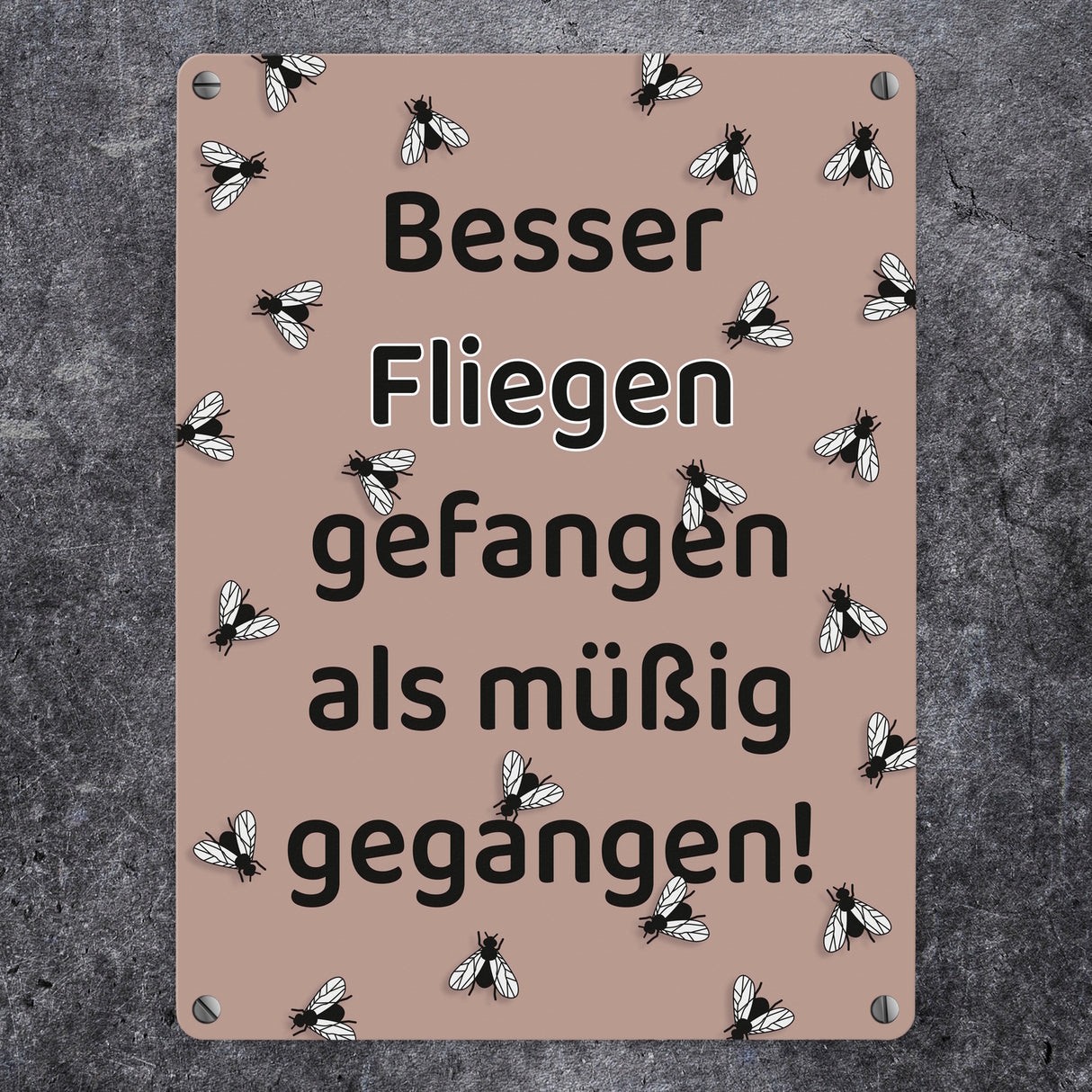 Fliege Metallschild in 15x20 cm mit Spruch Besser Fliegen fangen als faulenzen