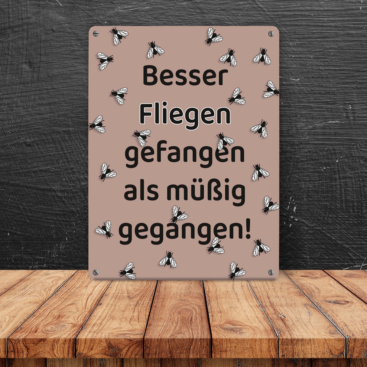 Fliege Metallschild in 15x20 cm mit Spruch Besser Fliegen fangen als faulenzen