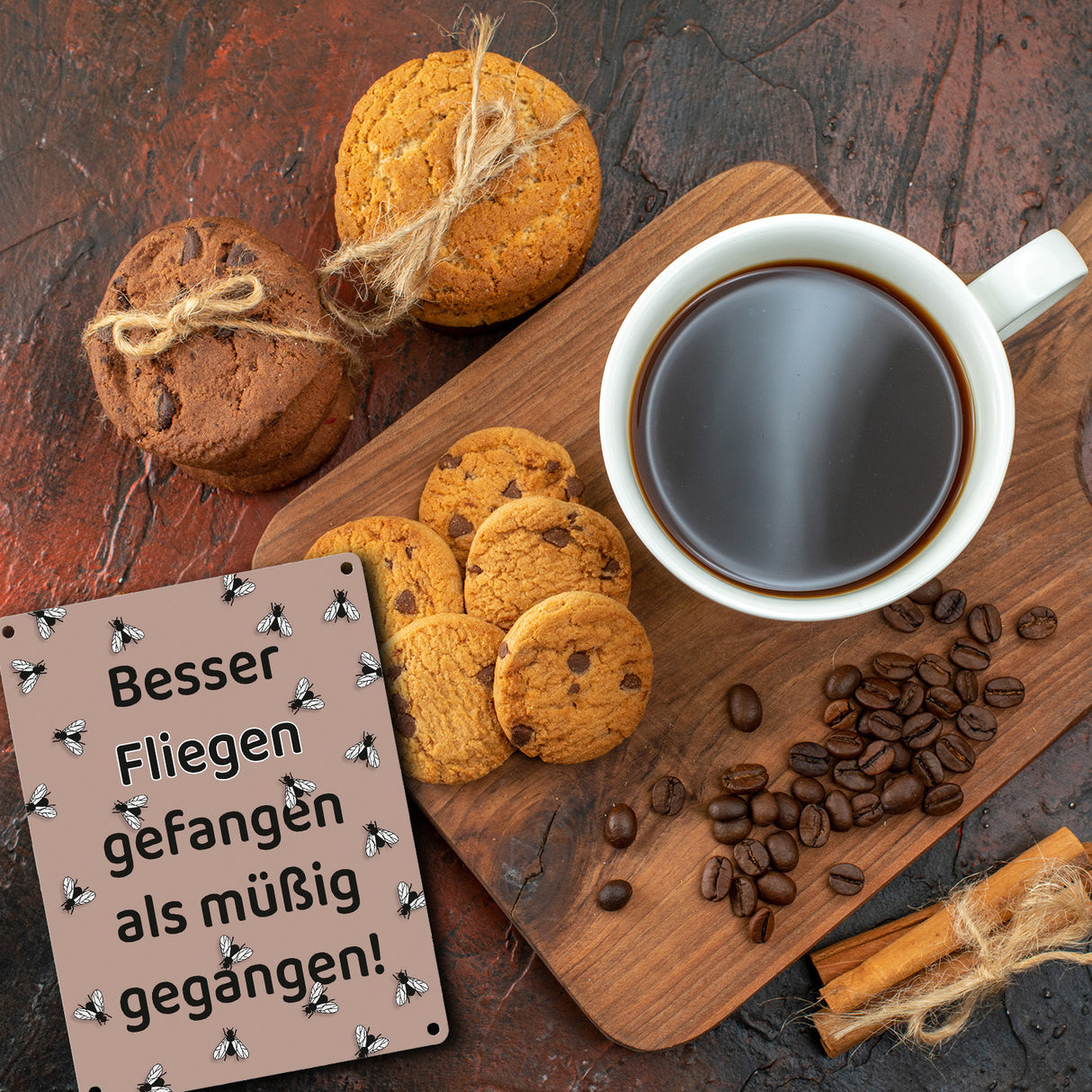 Fliege Metallschild in 15x20 cm mit Spruch Besser Fliegen fangen als faulenzen