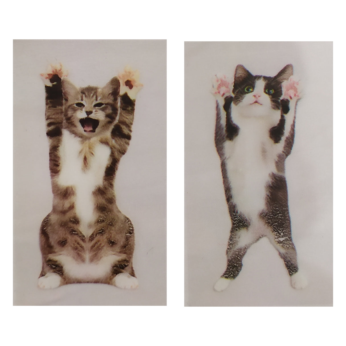 Katzen Lesezeichen im 100er Set