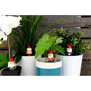 Freche Mini Gartenzwerge im 4er Set