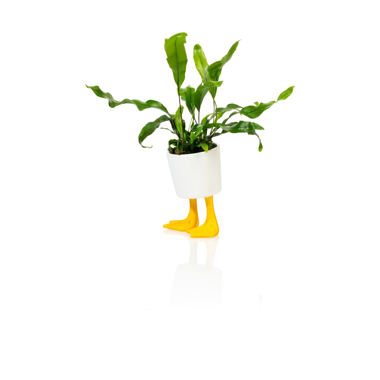 Entenfüße Mini Blumentopf aus Porzellan