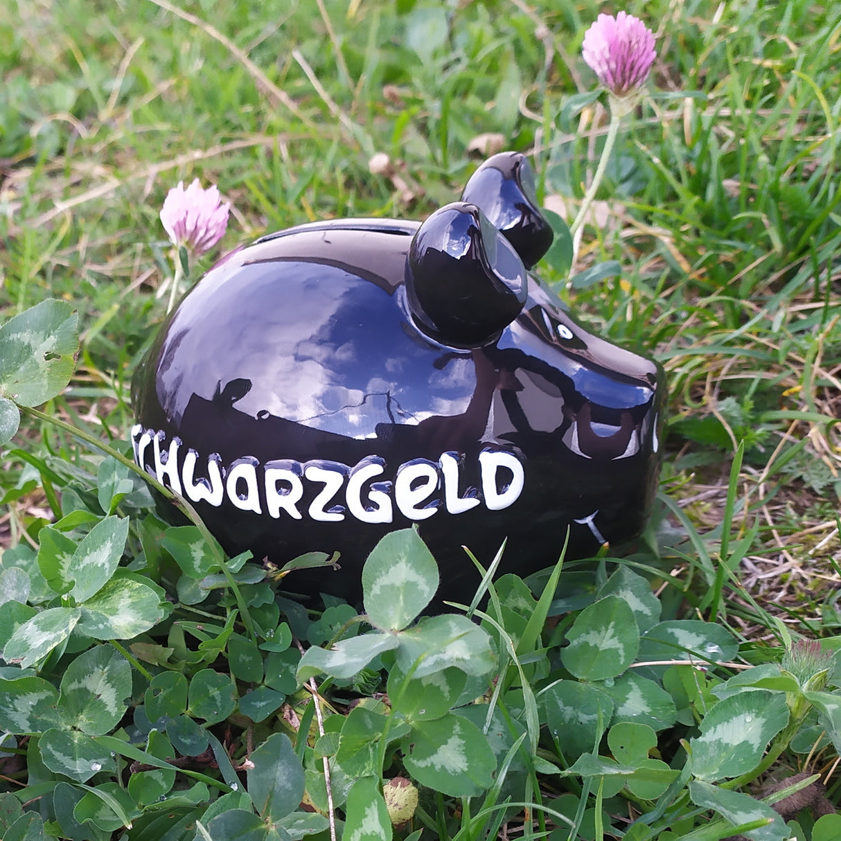 Schwarzgeld Sparschwein