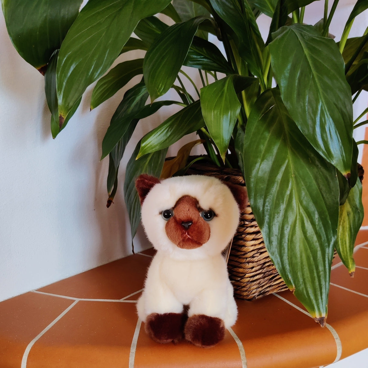 Siamkatze Animigos Kuscheltier