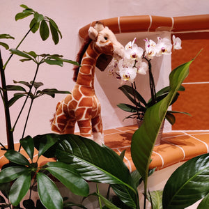 Giraffe Animigos Kuscheltier