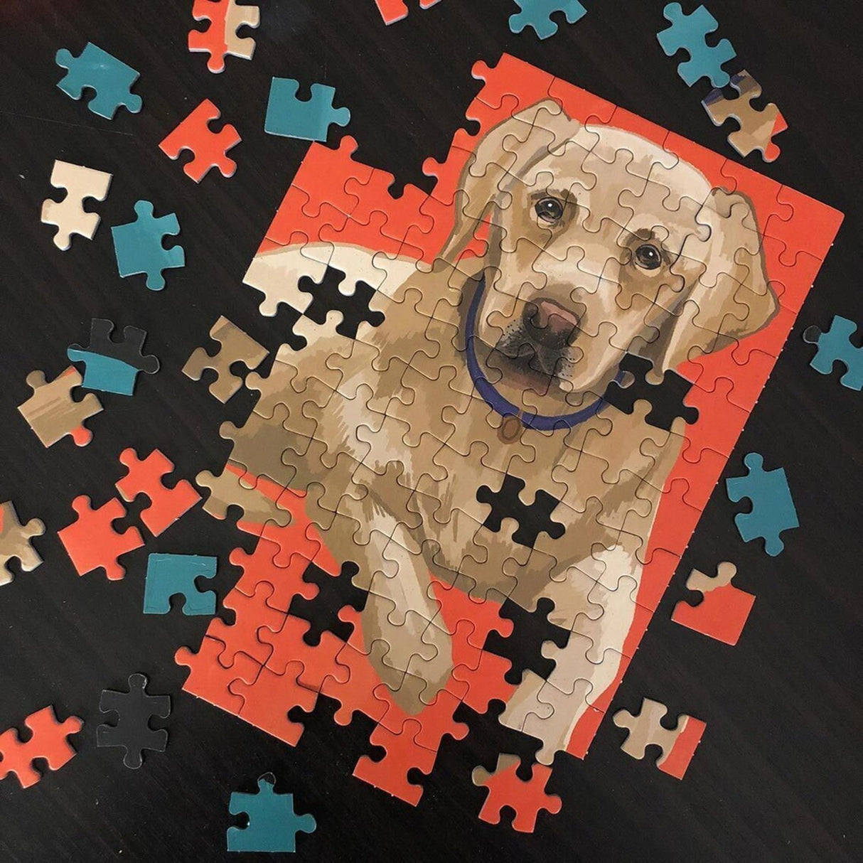 Labrador Hunde Puzzle mit zwei Seiten und 100 Teilen
